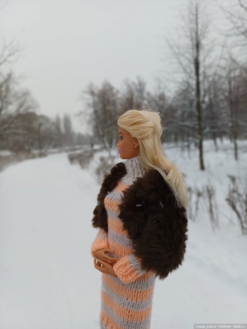 София и снегопад — Аналоги Барби и куклы 1/6: клоны 90 (фото 3)