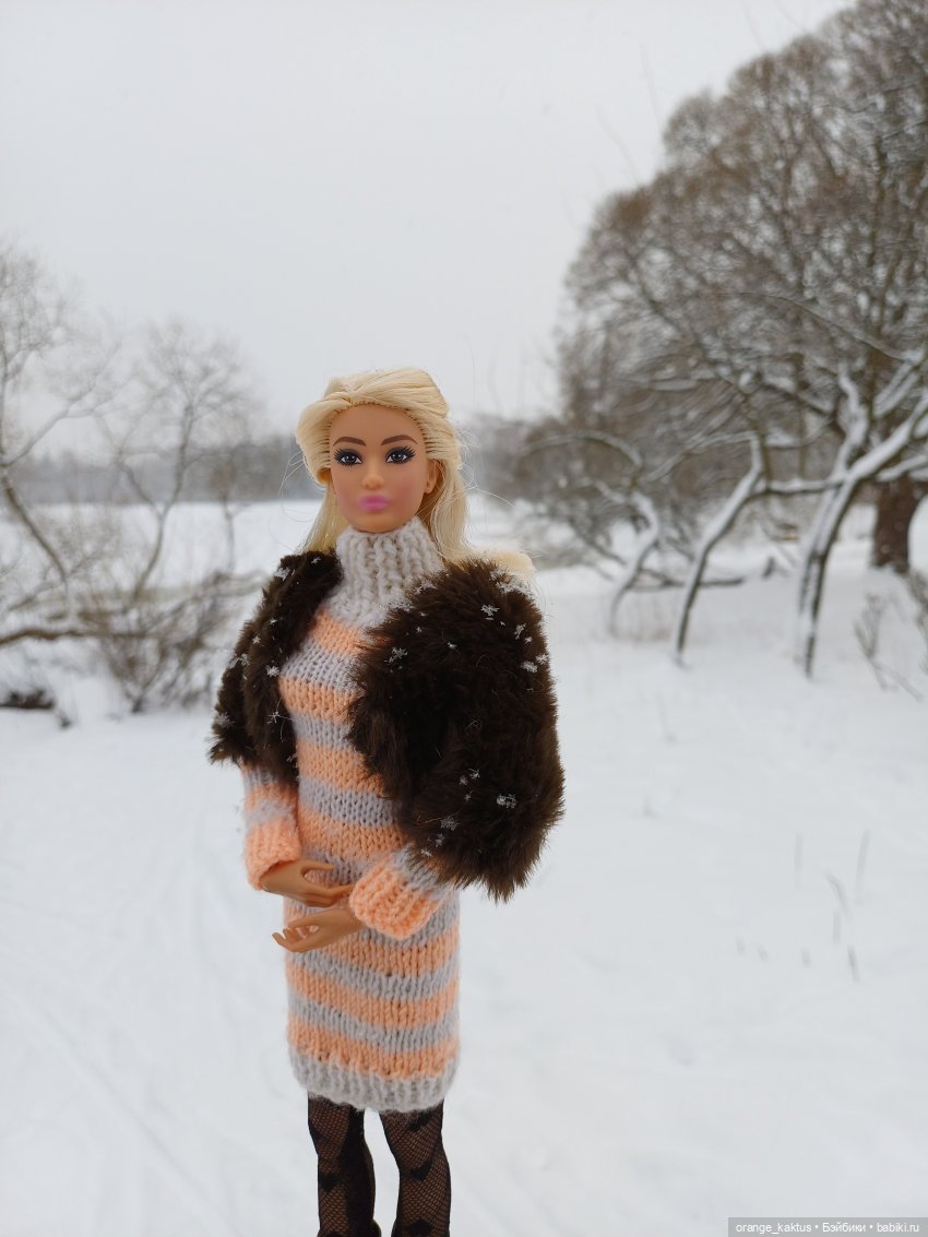 София и снегопад — Аналоги Барби и куклы 1/6: клоны 90