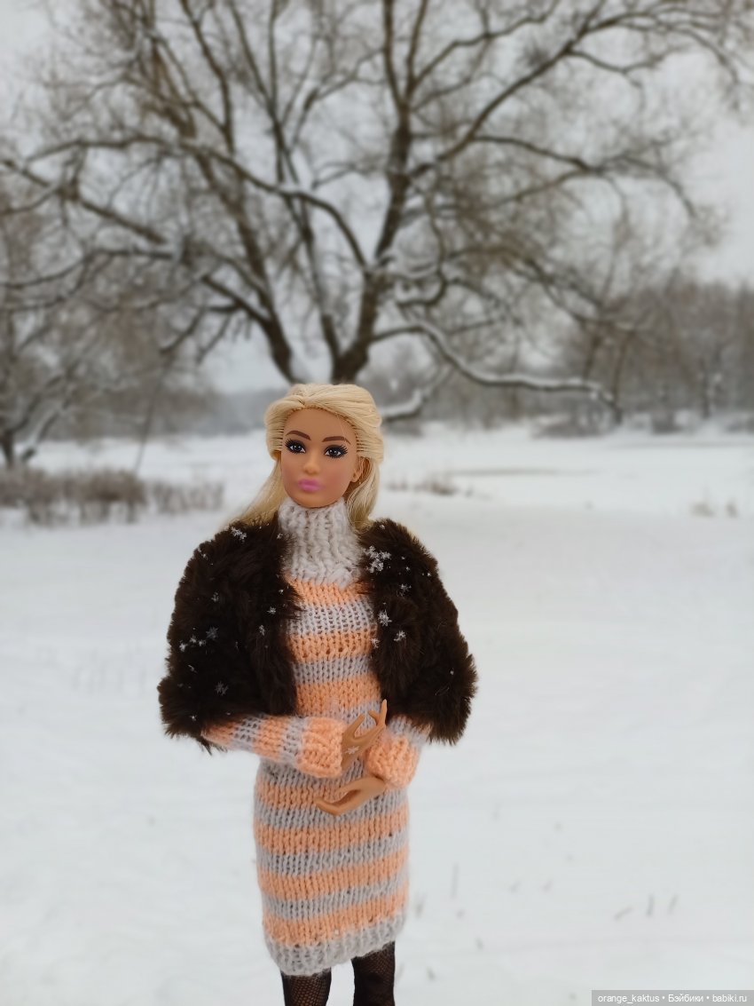 София и снегопад — Аналоги Барби и куклы 1/6: клоны 90 (фото 6)