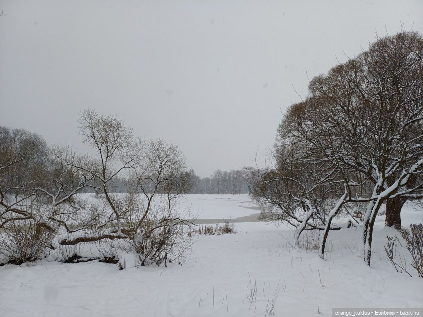 София и снегопад — Аналоги Барби и куклы 1/6: клоны 90 (фото 4)