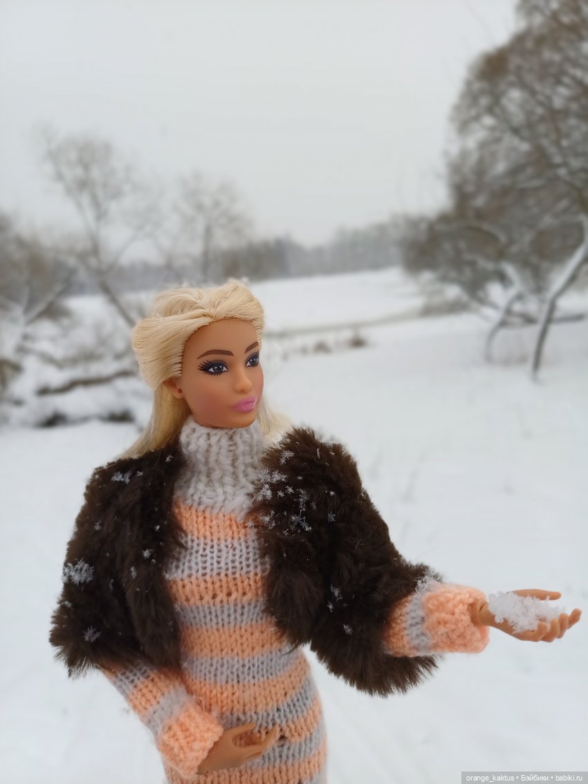 София и снегопад — Аналоги Барби и куклы 1/6: клоны 90