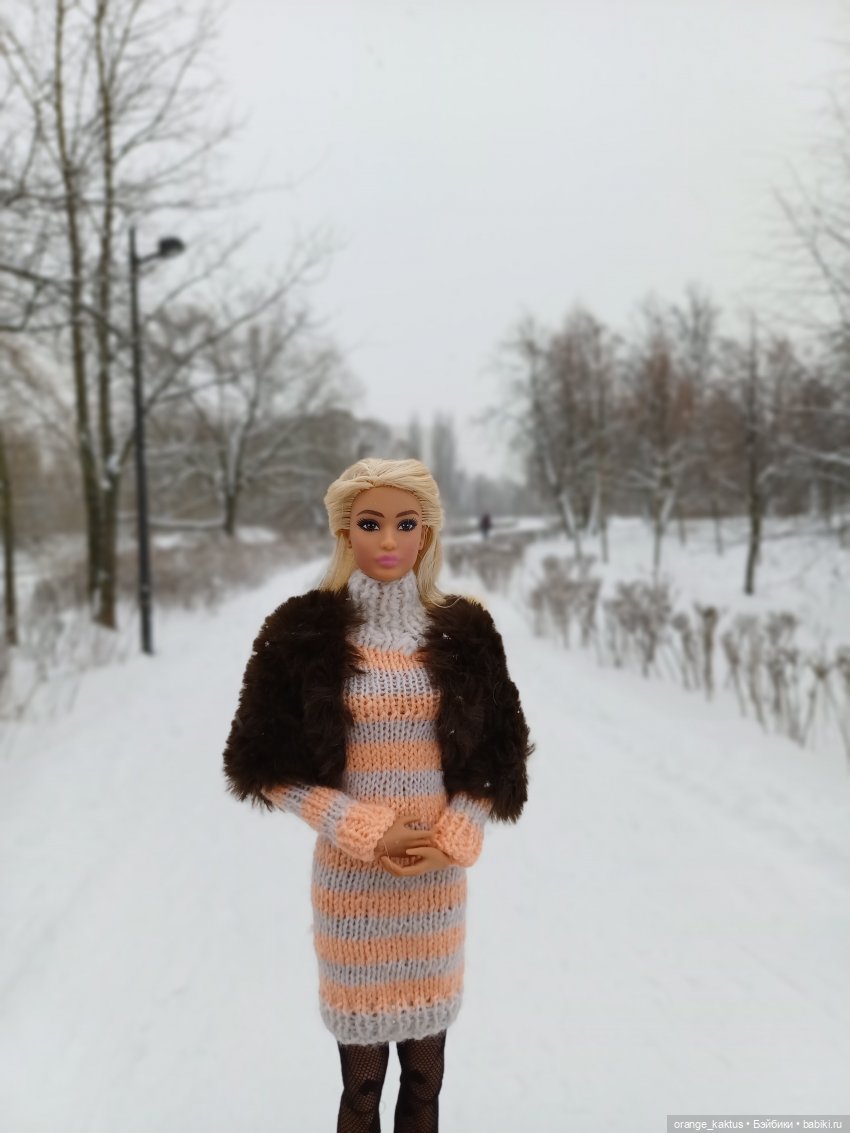 София и снегопад — Аналоги Барби и куклы 1/6: клоны 90