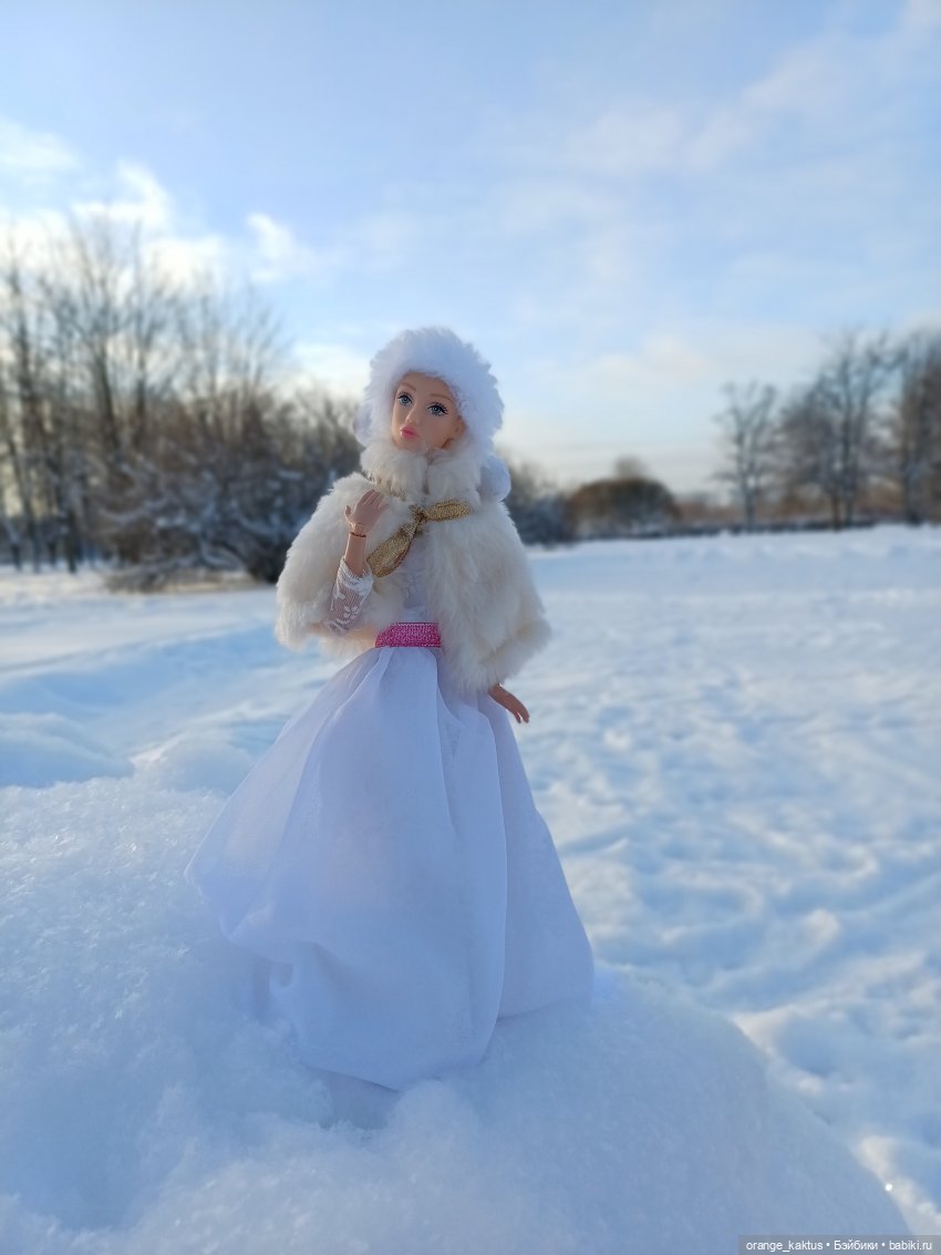 Зимушка-Зима — Аналоги Барби и куклы 1/6: клоны 90