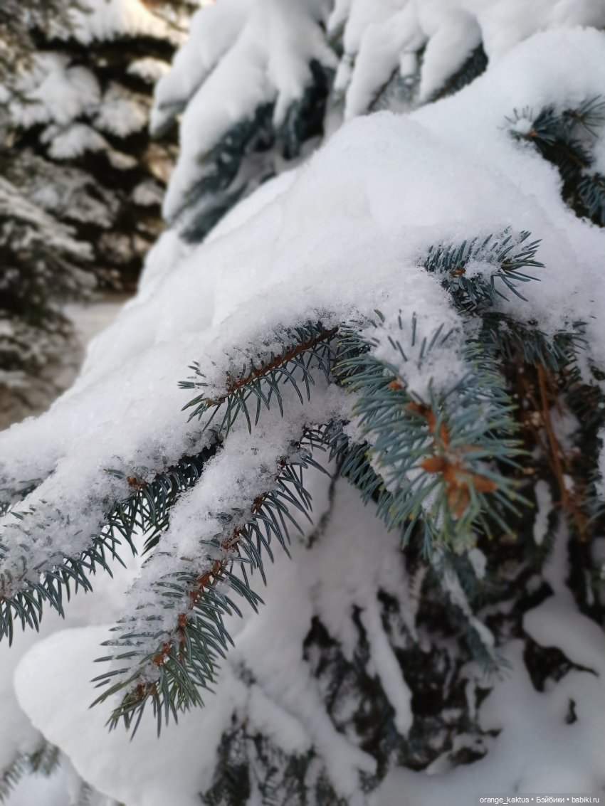 Зимушка-Зима — Аналоги Барби и куклы 1/6: клоны 90