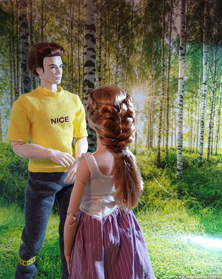 Мавр сделал свое дело. Глава 15 Неожиданное знакомство