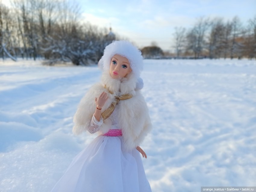 Зимушка-Зима — Аналоги Барби и куклы 1/6: клоны 90