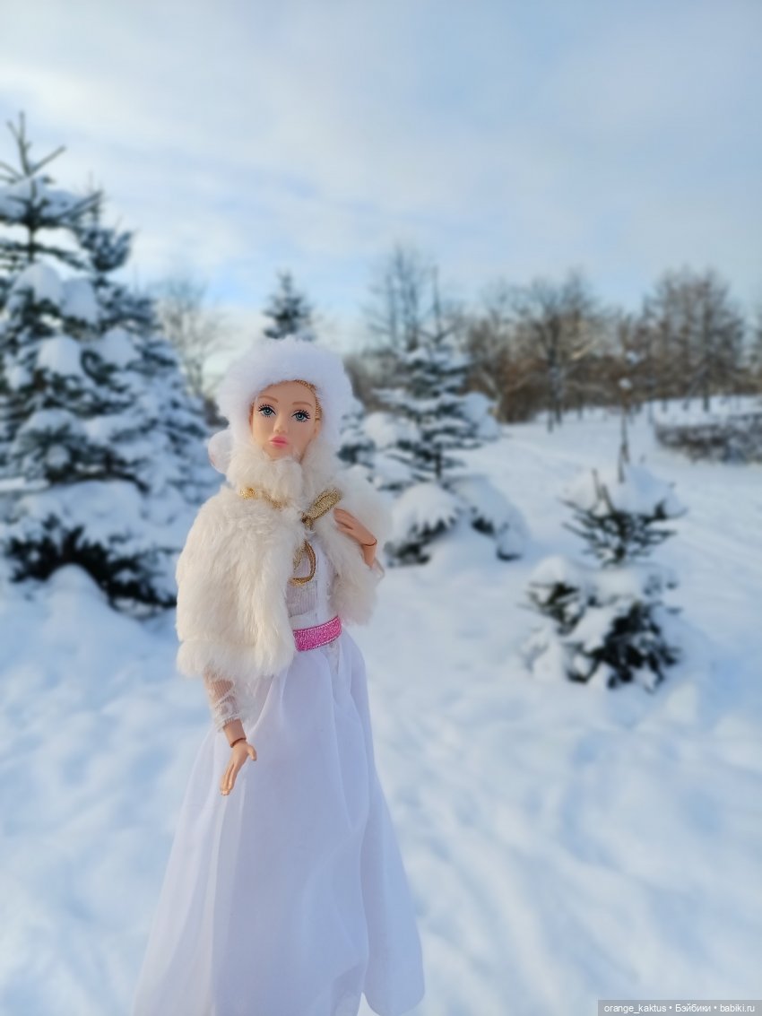 Зимушка-Зима — Аналоги Барби и куклы 1/6: клоны 90