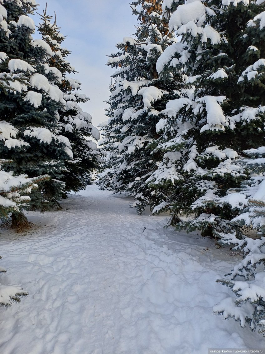 Инга и зима — Куклы Barbie (Барби): Looks