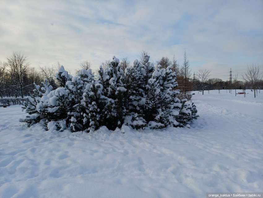 Зимушка-Зима — Аналоги Барби и куклы 1/6: клоны 90 (фото 2)