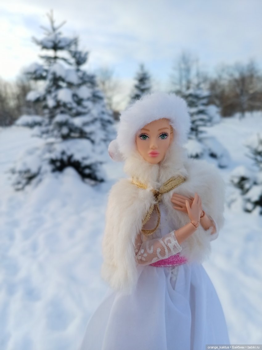 Зимушка-Зима — Аналоги Барби и куклы 1/6: клоны 90 (фото 3)