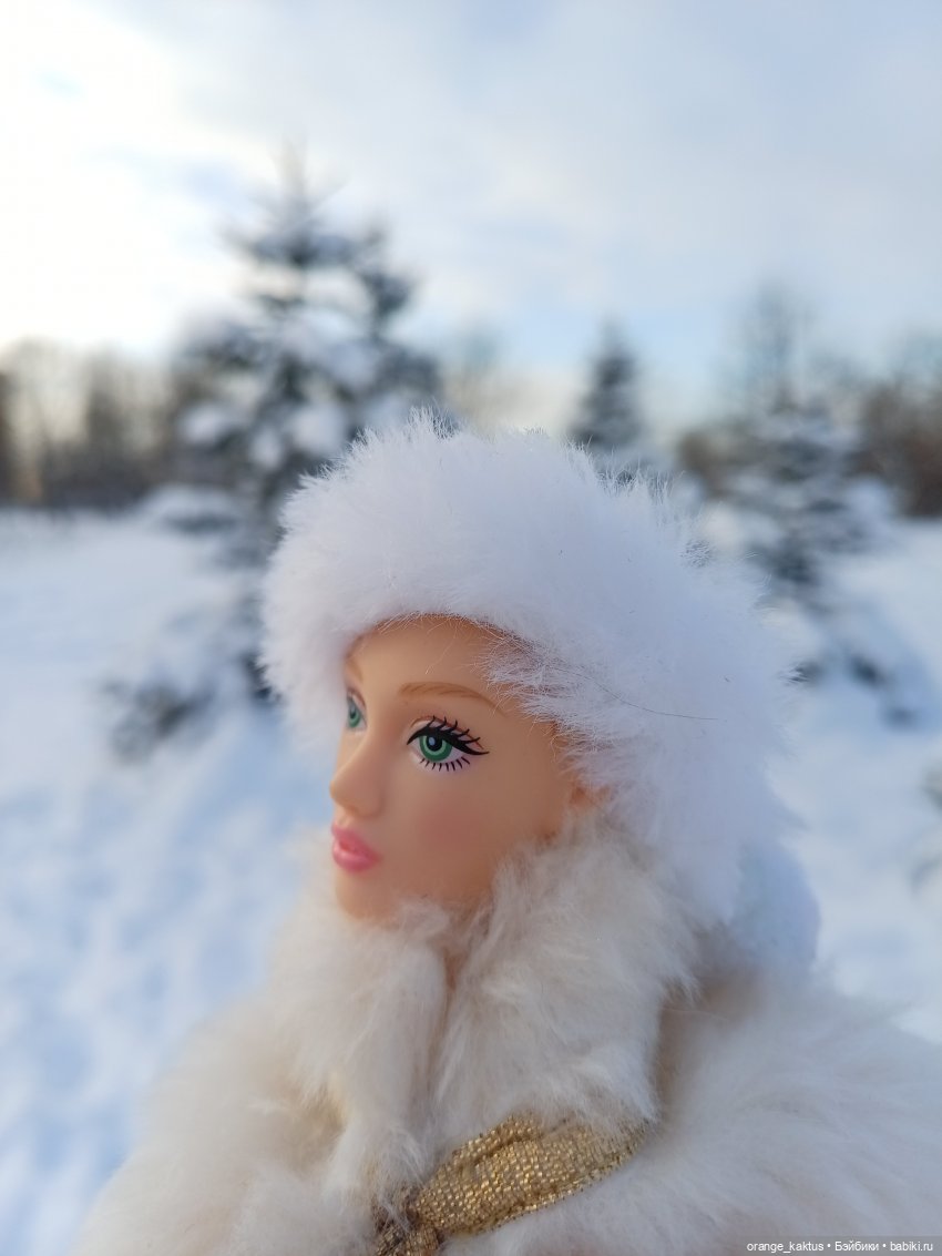 Зимушка-Зима — Аналоги Барби и куклы 1/6: клоны 90 (фото 4)