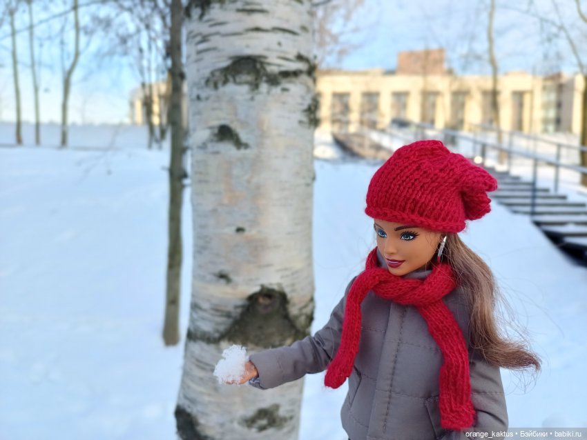 Зимняя прогулка — Куклы Barbie (Барби): Looks (фото 9)