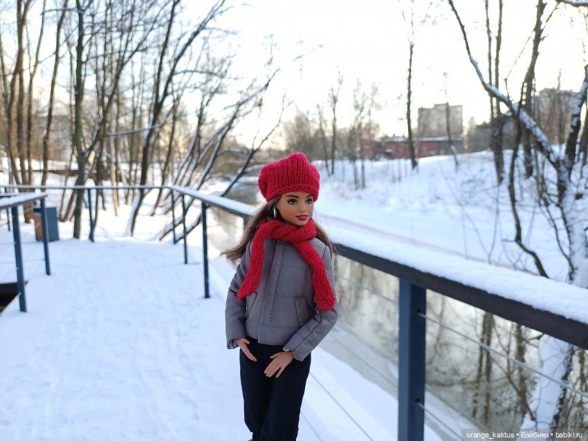 Зимняя прогулка — Куклы Barbie (Барби): Looks (фото 6)