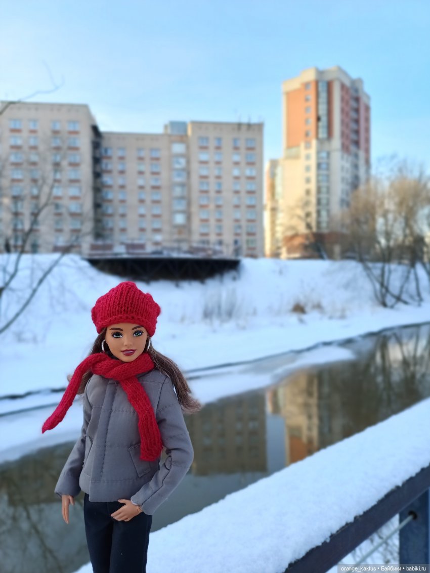 Зимняя прогулка — Куклы Barbie (Барби): Looks