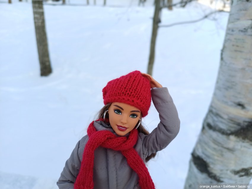 Зимняя прогулка — Куклы Barbie (Барби): Looks (фото 10)