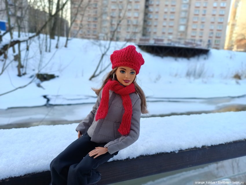 Зимняя прогулка — Куклы Barbie (Барби): Looks (фото 5)