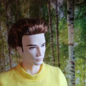 Мавр сделал свое дело. Глава  15 Неожиданное знакомство