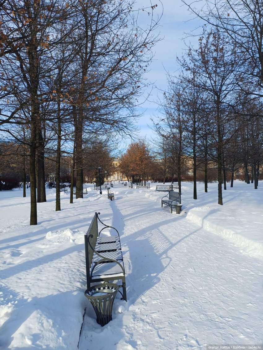 Зимняя прогулка в безлюдном саду (фото 8)