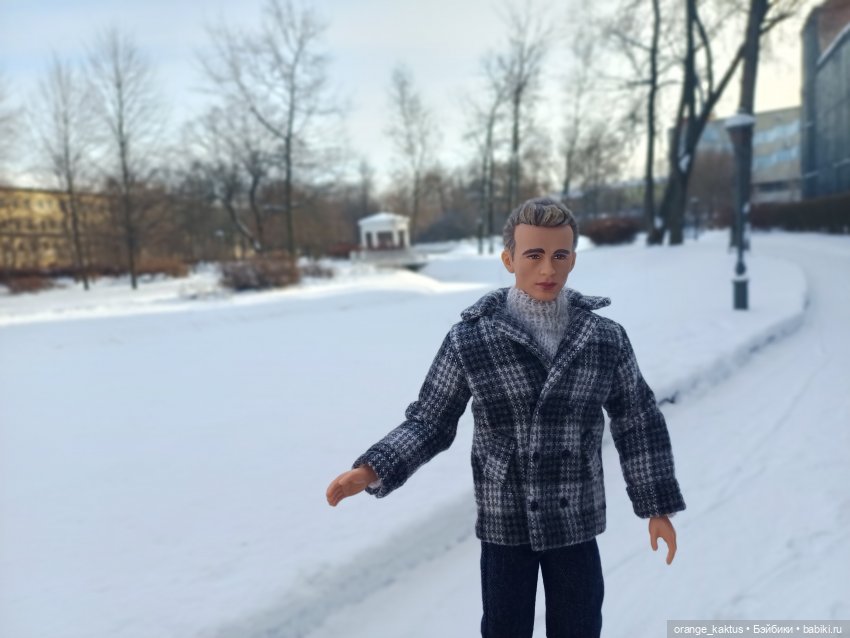 Зимняя прогулка в безлюдном саду (фото 2)