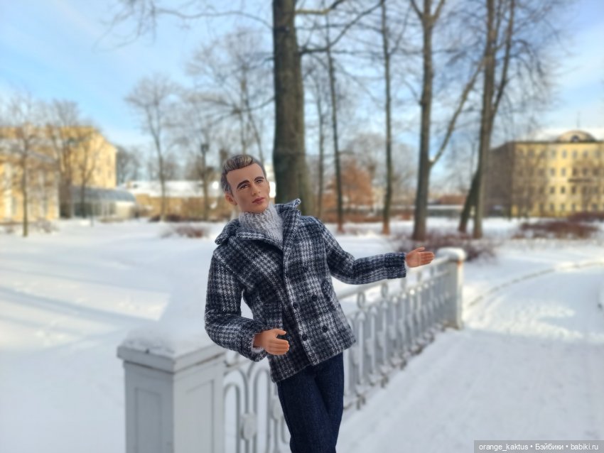 Зимняя прогулка в безлюдном саду (фото 7)