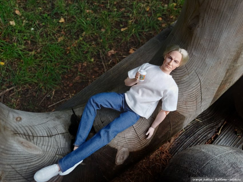 Куклы Barbie (Барби): Looks