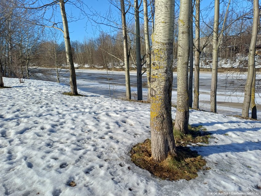 Псевдопоппи — Аналоги Барби и куклы 1/6: клоны 90 (фото 3)