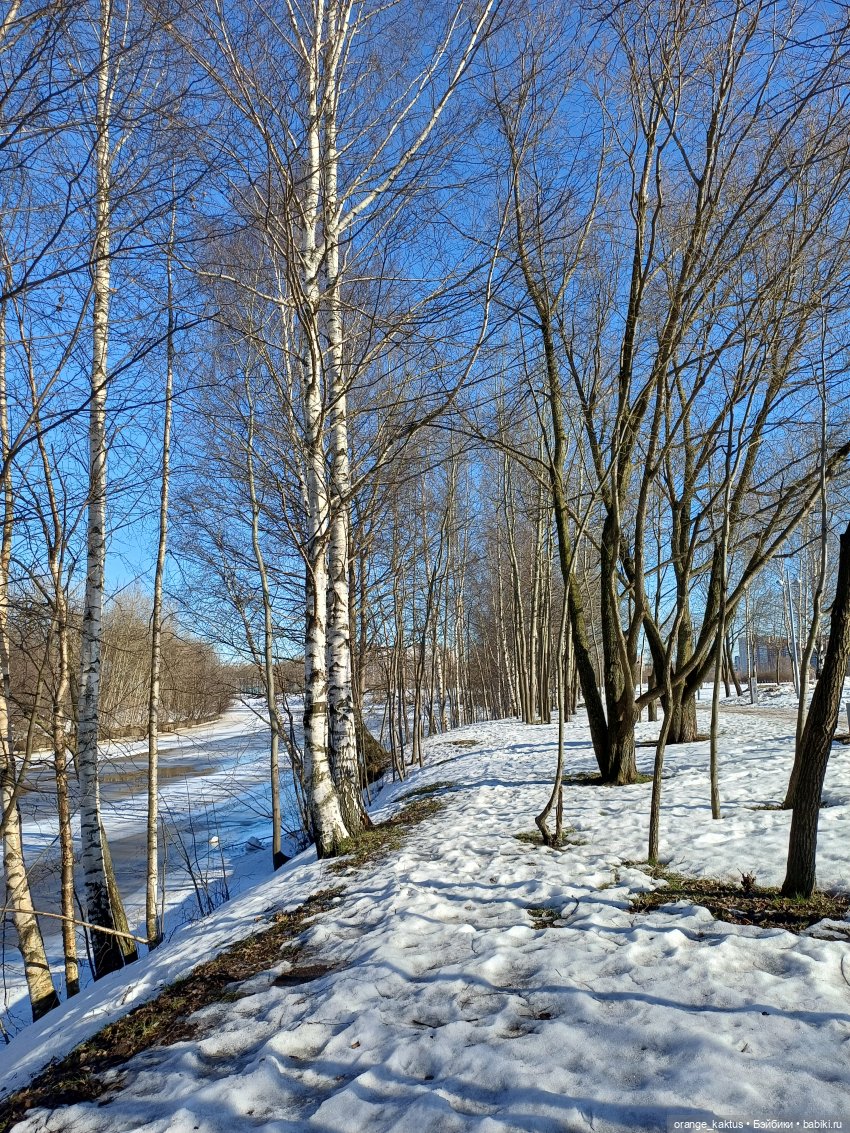 Псевдопоппи — Аналоги Барби и куклы 1/6: клоны 90 (фото 9)