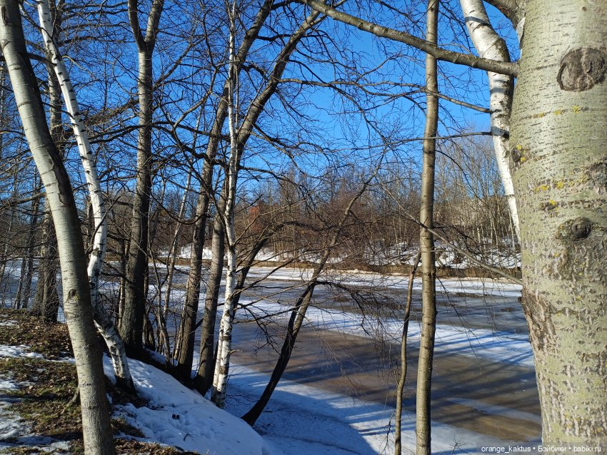 Псевдопоппи — Аналоги Барби и куклы 1/6: клоны 90 (фото 6)