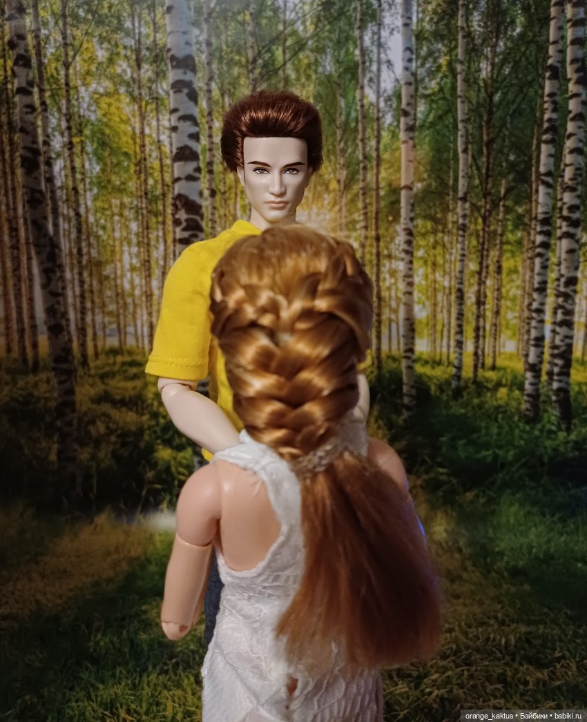 Мавр сделал свое дело. Глава 23 Робин Гуд