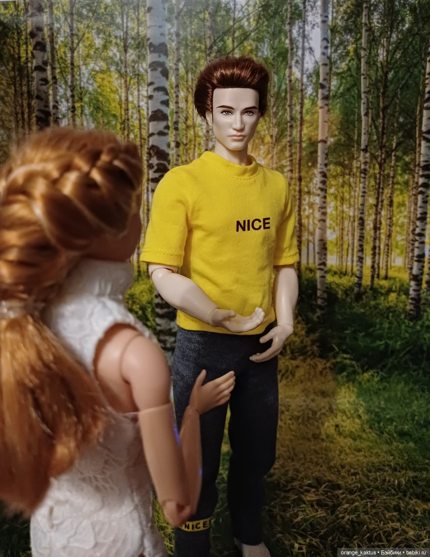 Мавр сделал свое дело. Глава 23 Робин Гуд (фото 8)