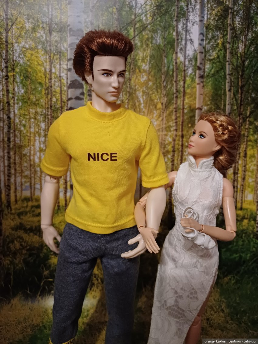 Мавр сделал свое дело. Глава 23 Робин Гуд (фото 4)