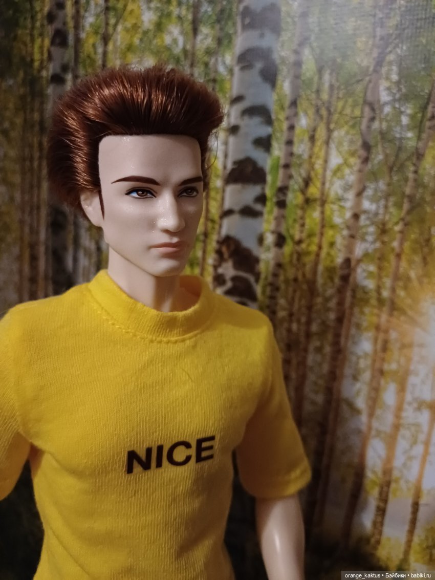 Мавр сделал свое дело. Глава 23 Робин Гуд (фото 5)