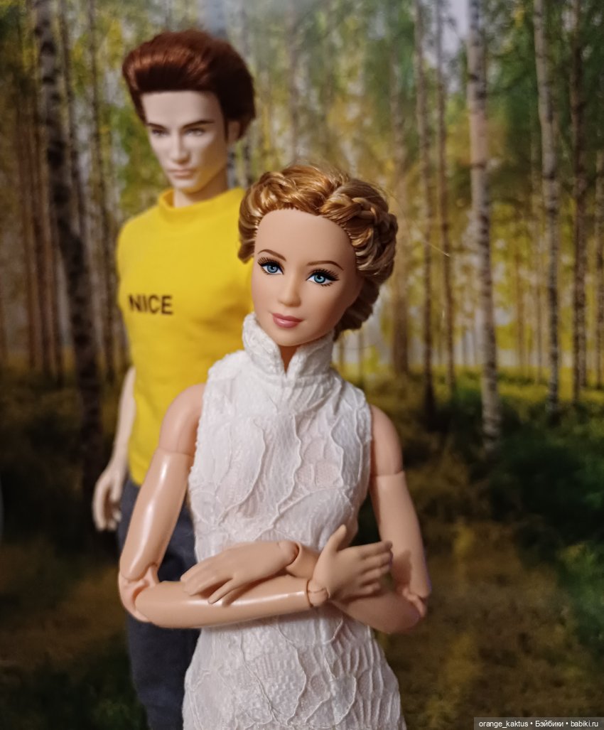 Мавр сделал свое дело. Глава 23 Робин Гуд