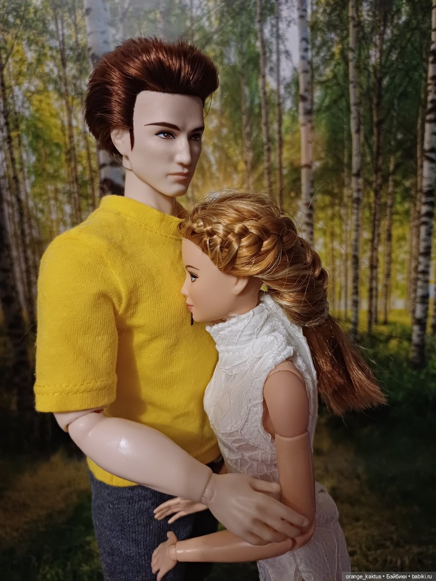 Мавр сделал свое дело. Глава 23 Робин Гуд