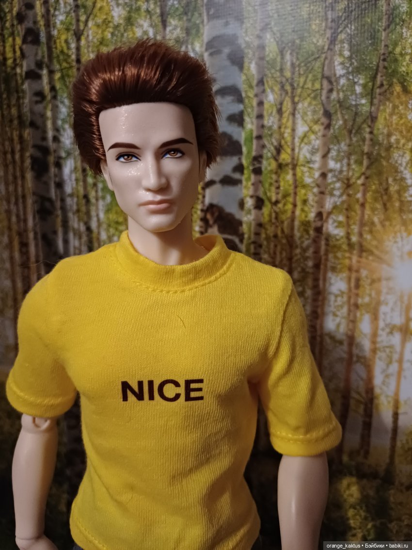 Мавр сделал свое дело. Глава 23 Робин Гуд (фото 3)