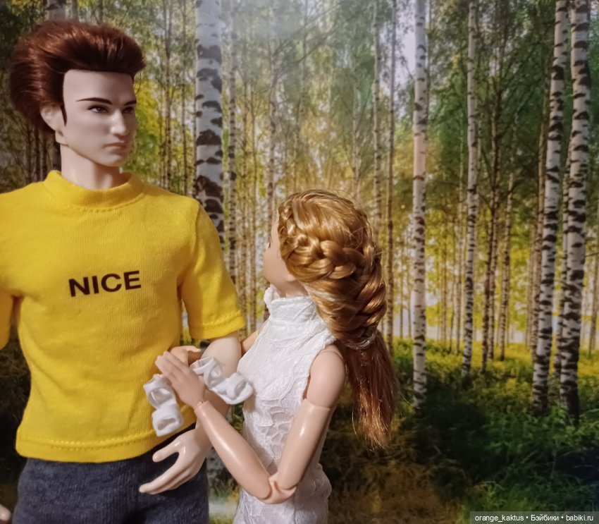 Мавр сделал свое дело. Глава 23 Робин Гуд (фото 6)