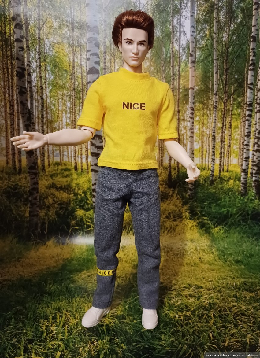 Мавр сделал свое дело. Глава 23 Робин Гуд