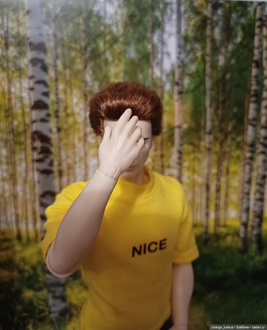 Мавр сделал свое дело. Глава 23 Робин Гуд