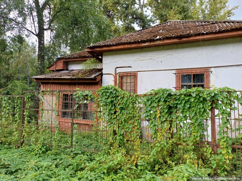 Мавр сделал свое дело. Глава 26 Последний день в доме Костолевского