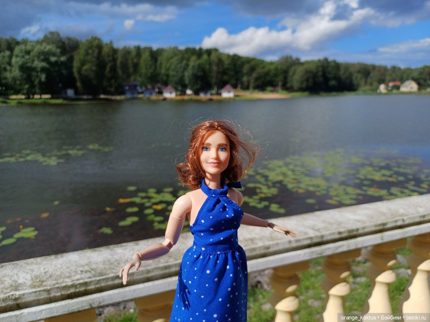 Мавр сделал свое дело. Глава 27 Анна