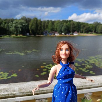 Мавр сделал свое дело. Глава 27 Анна