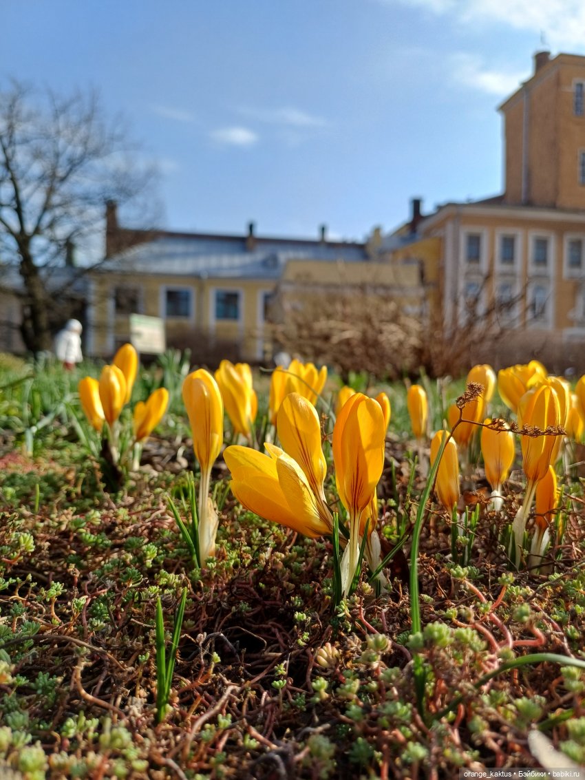 Новенькая и первая прогулка | Бэйбики Новенькая и первая прогулка