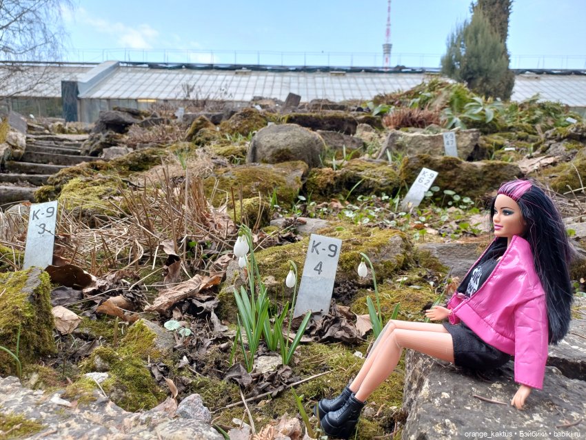 Новенькая и первая прогулка | Бэйбики Новенькая и первая прогулка (фото 10)