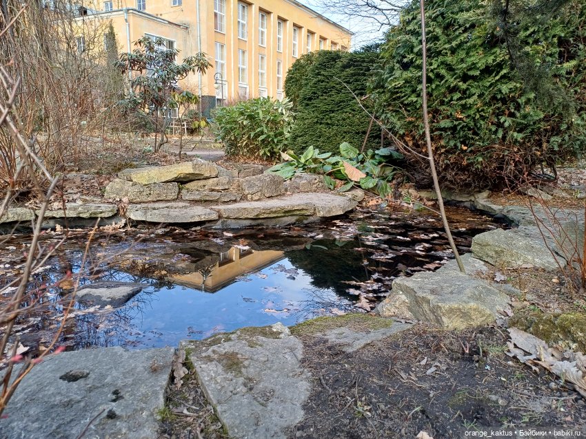 Как Ксианка в Ботанический сад ходила | Бэйбики Как Ксианка в Ботанический сад ходила