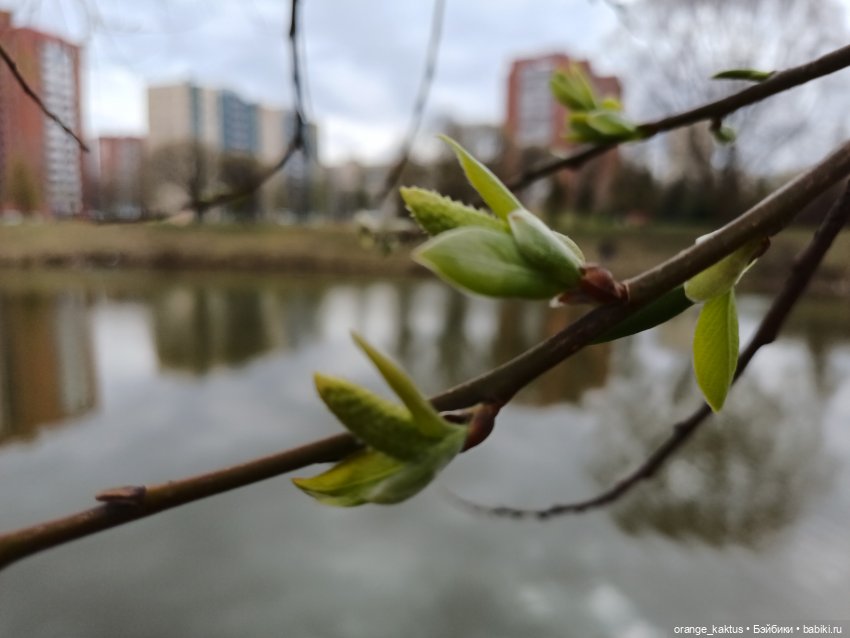 Барби Императрица драконов