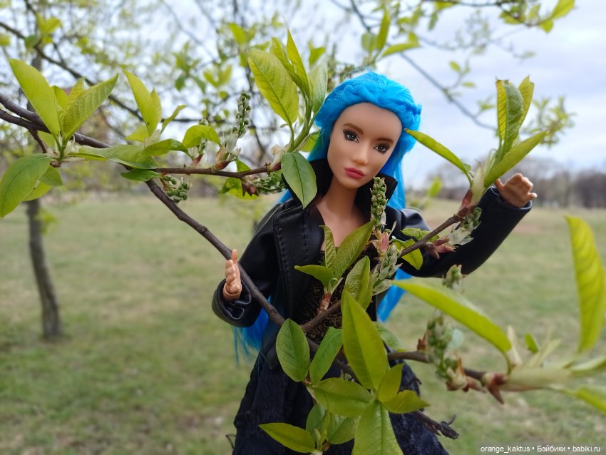 Очень зеленая весна — Аналоги Барби и куклы 1/6: клоны 90 (фото 7)