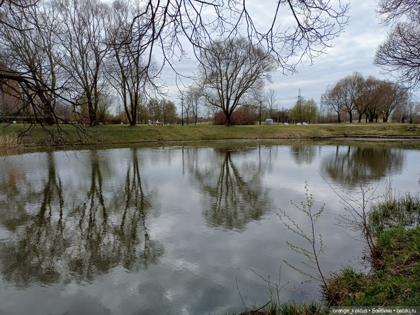 Очень зеленая весна — Аналоги Барби и куклы 1/6: клоны 90