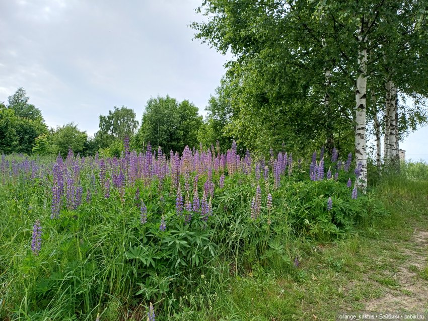 Барби style — Куклы Барби