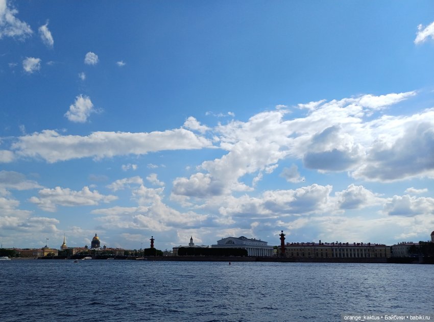 Грейс Келли и спонтанная прогулка (фото 3)