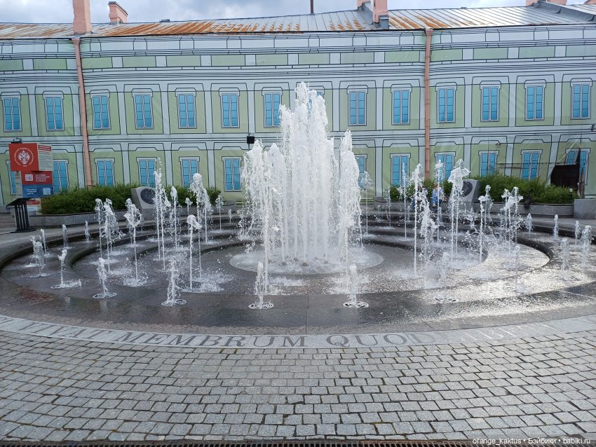 Грейс Келли и спонтанная прогулка (фото 10)